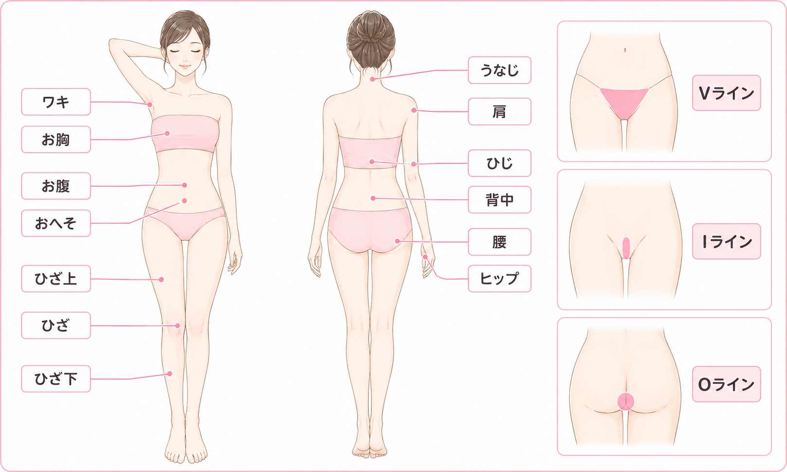 全身脱毛 説明図